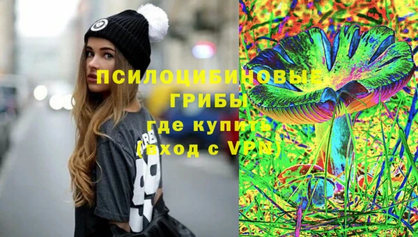 ГАЛЛЮЦИНОГЕННЫЕ ГРИБЫ Балахна