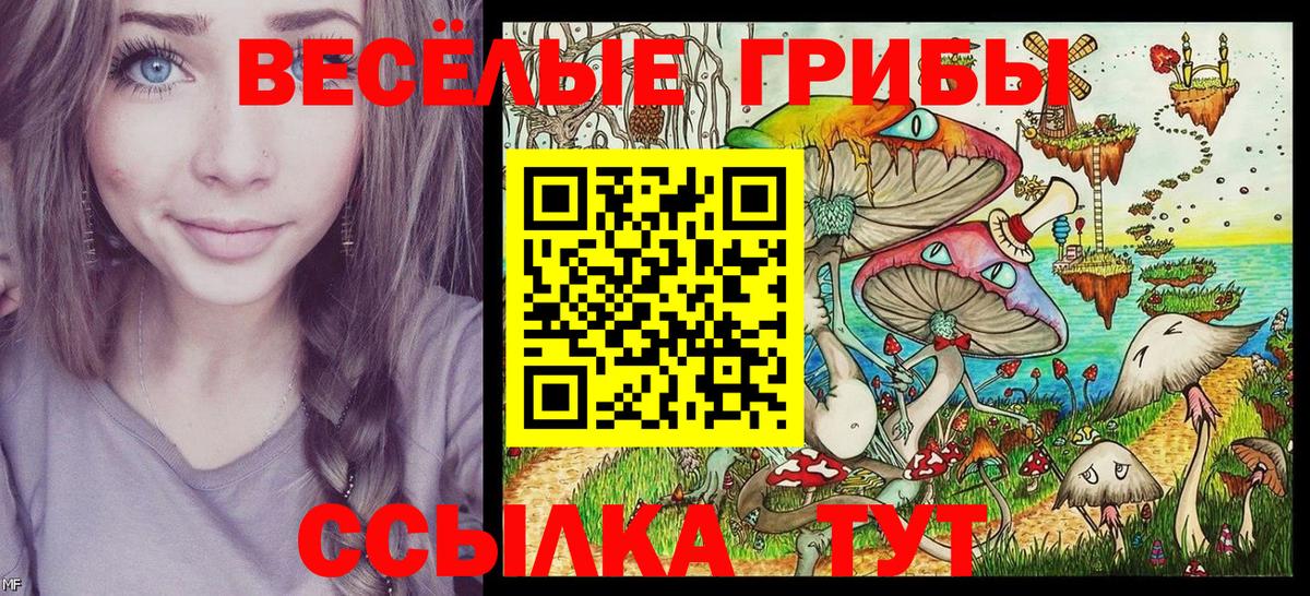Галлюциногенные грибы Magic Shrooms Кувандык